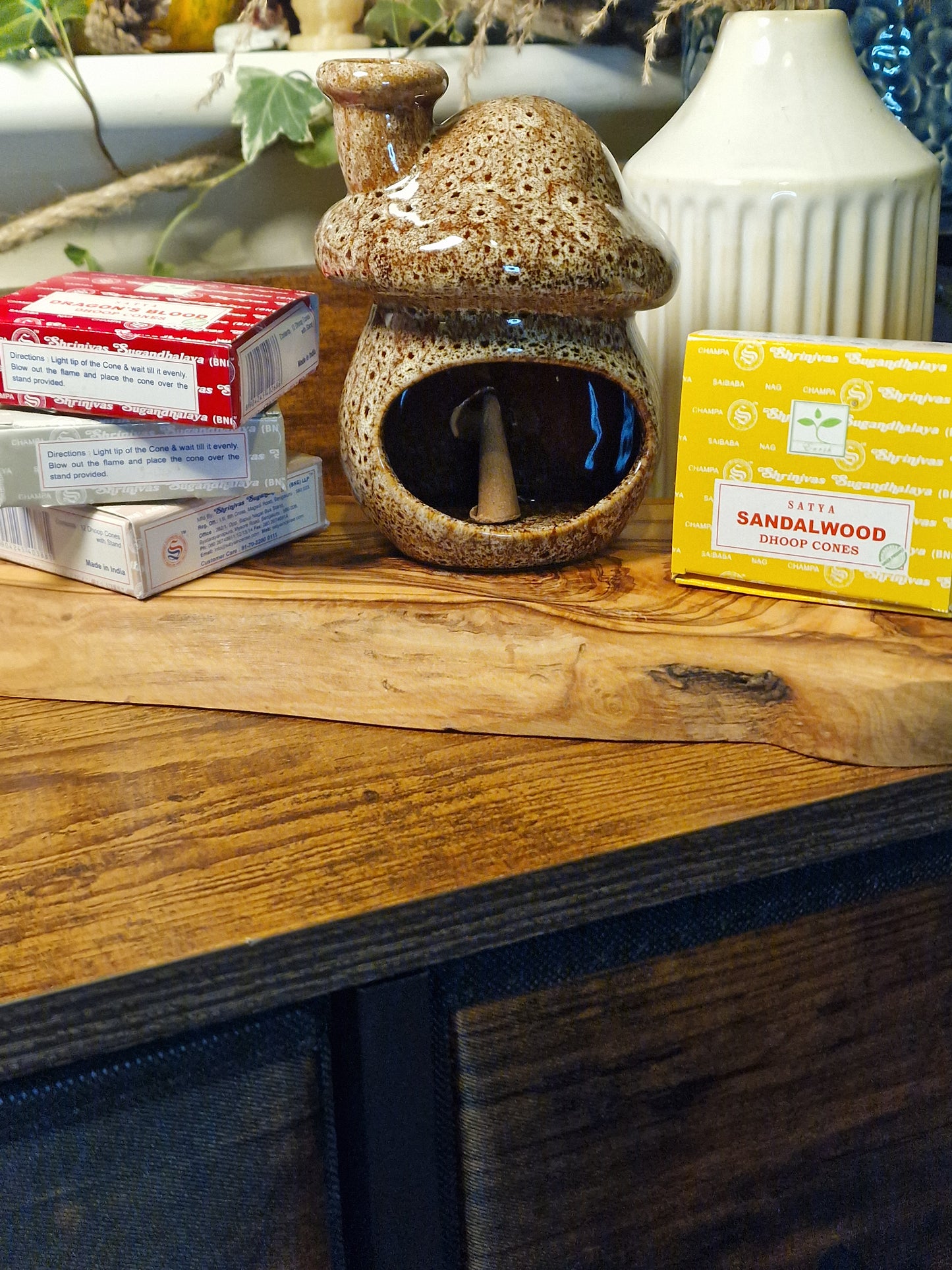 Mushroom Incense Burner & Cone Set