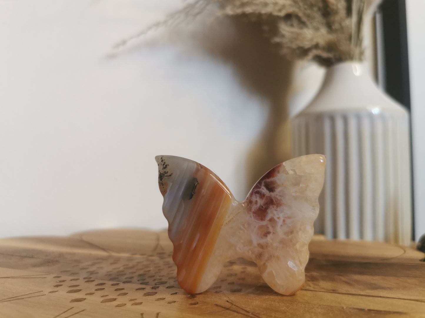 Carnelian butterfly B