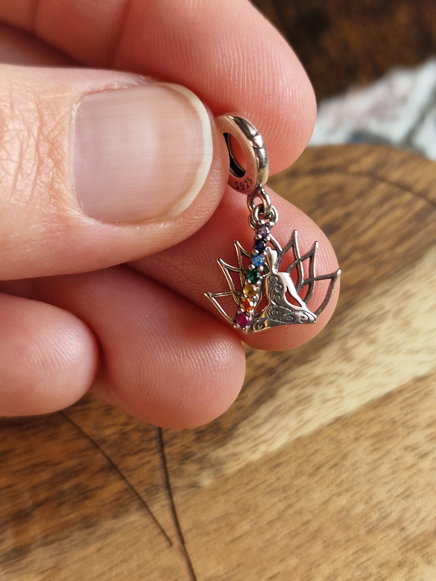 Sterling Silver Charm Collection