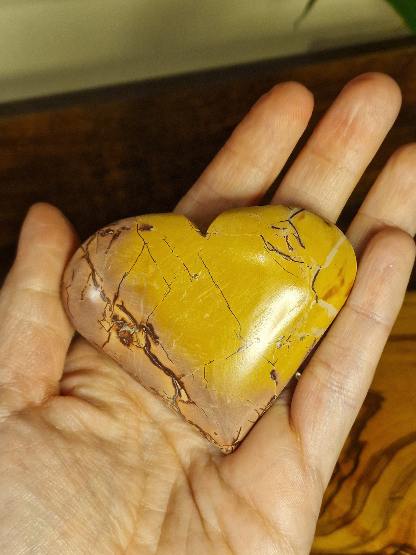 Picture Jasper Heart