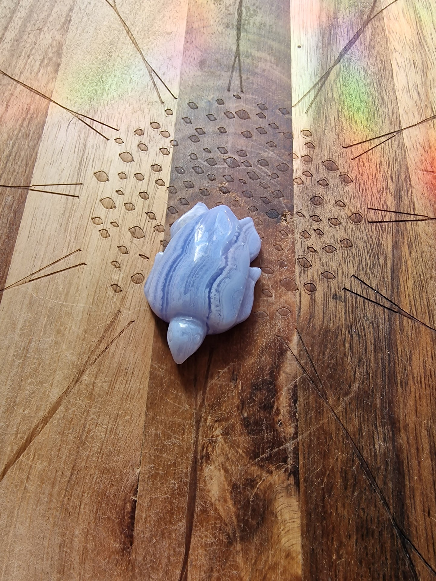 Blue Lace Agate Turtle Carvingš¢