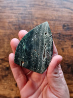 Ocean Jasper Shields