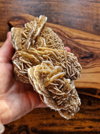 Desert Rose Cluster