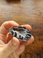 Druzy Agate Geode
