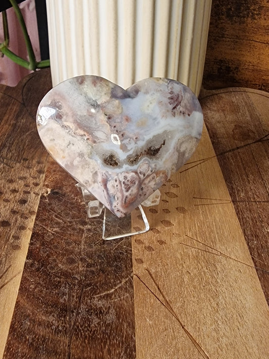 Agate (Fossil Coral) Hearts