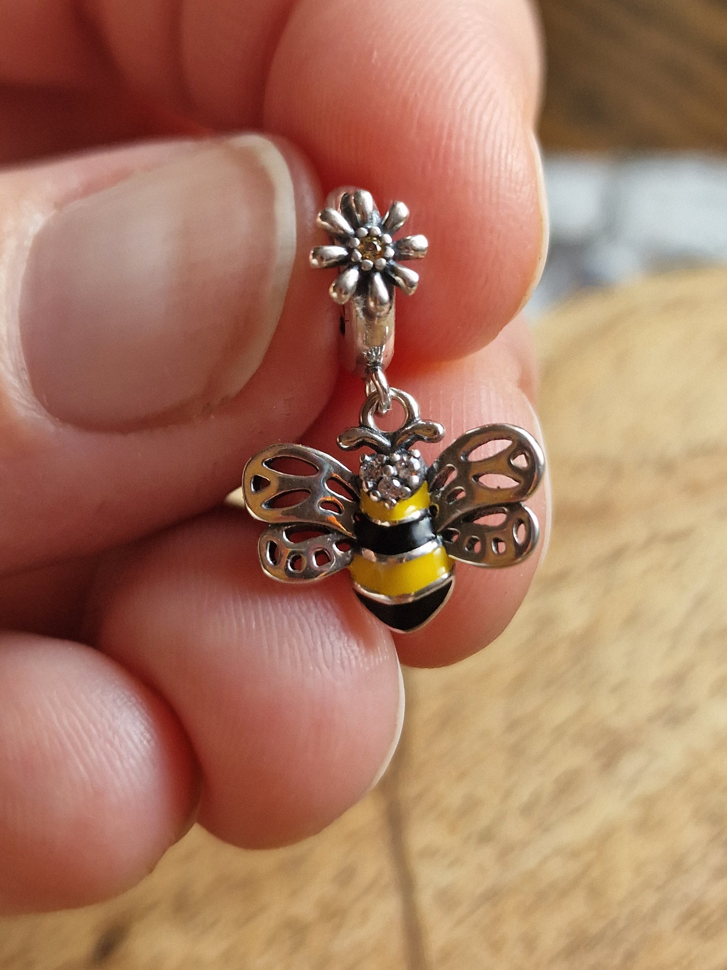 Sterling Silver Charm Collection