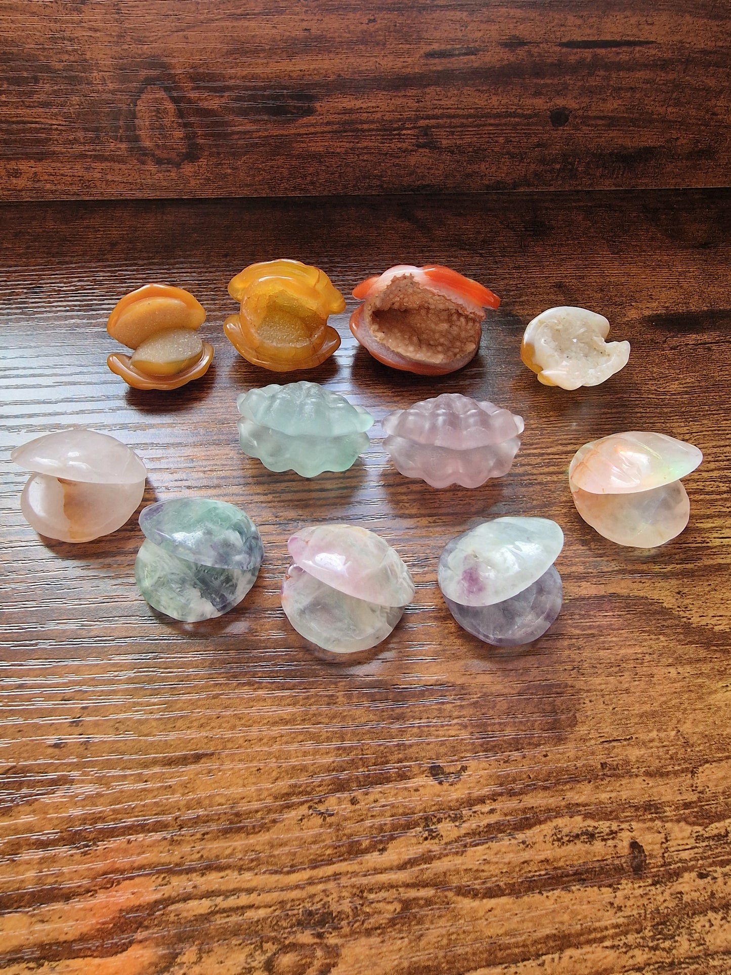 Crystal Shell Carvings (~4–5cm)
