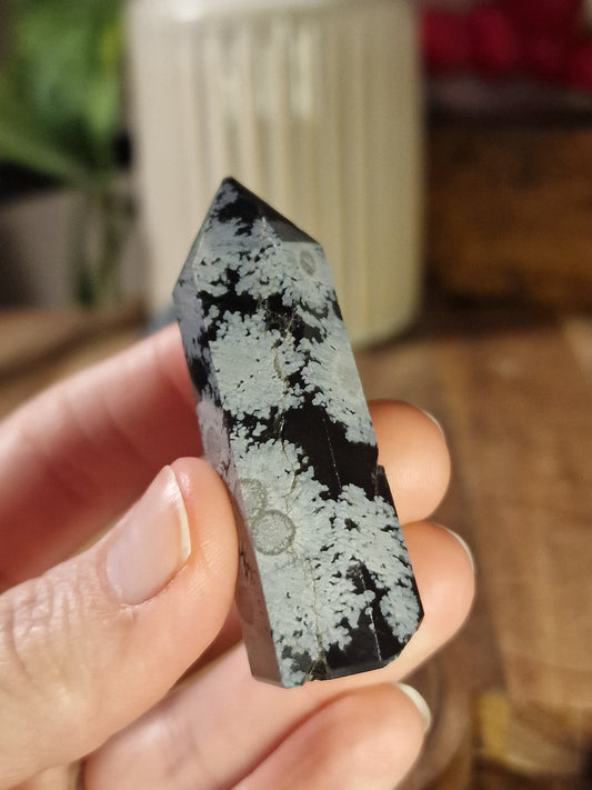 Snowflake Obsidian Towers ~ imperfect