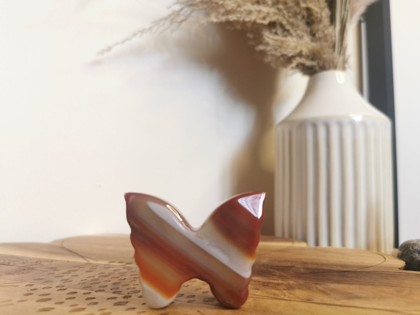 Carnelian butterfly D