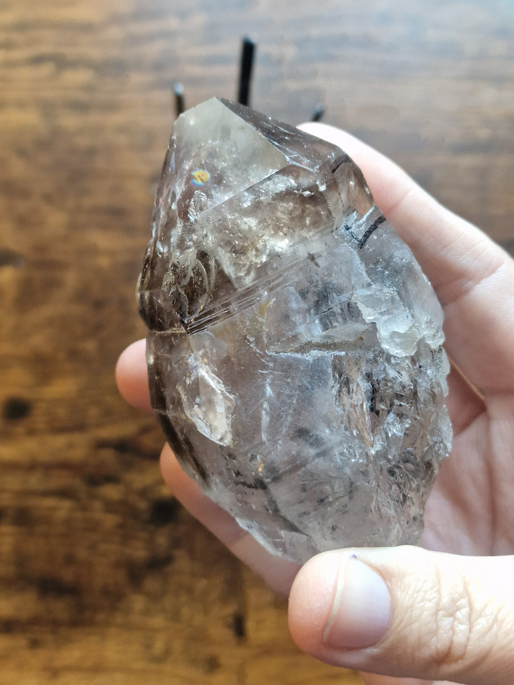 Herkimer Diamond with Double Enhydro Bubbles