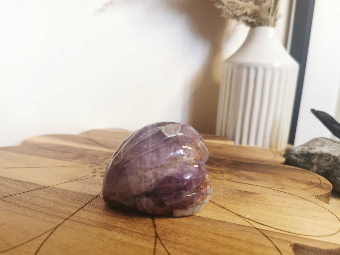 Amethyst & Crazy Lace Agate Shell🐚