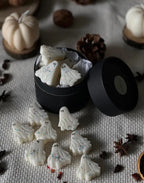 Autumn & Halloween Wax Melts
