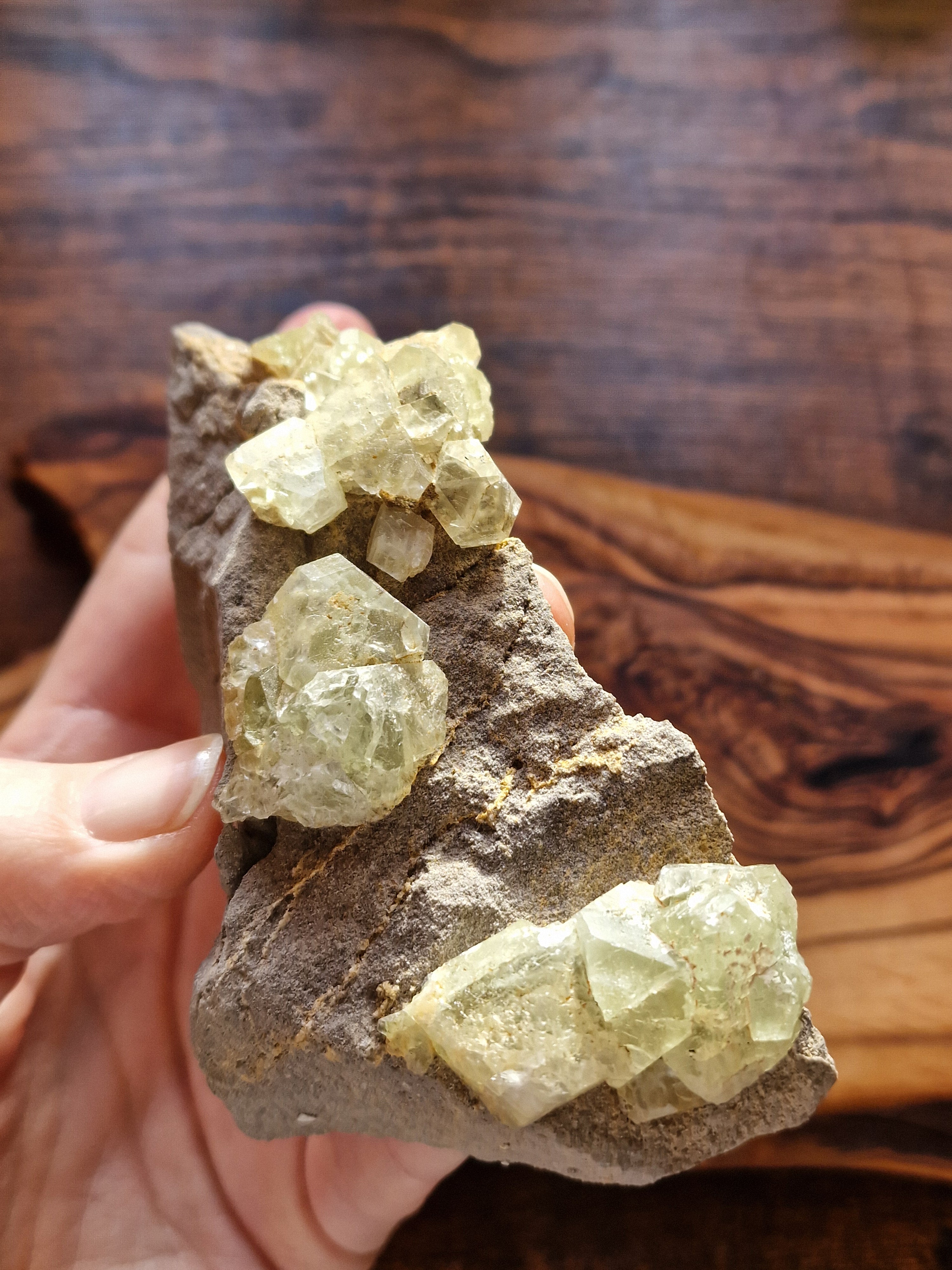 Octahedral Green Fluorite on Matrix ~ Imilchil, Morocco
