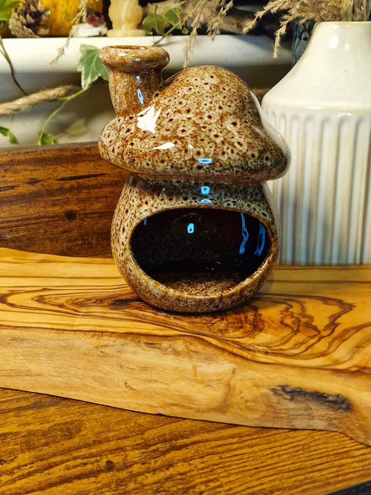 Mushroom Incense Burner & Cone Set