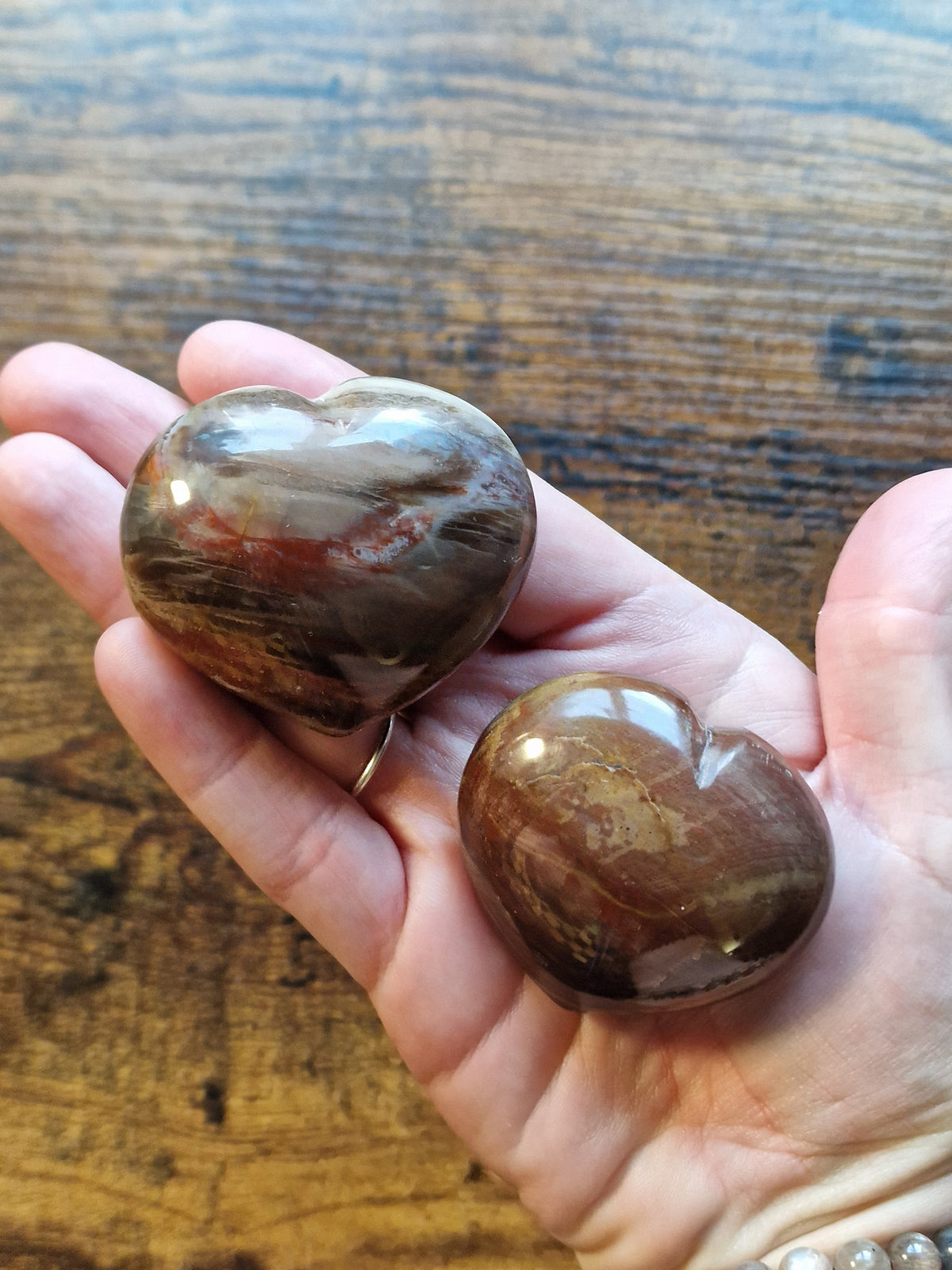 Fossilised Wood Hearts • Pick your own