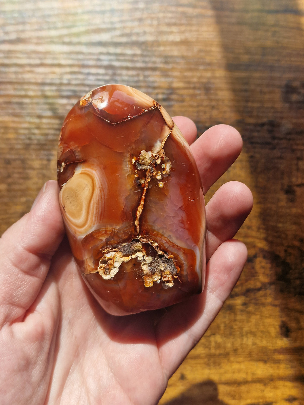 Carnelian Freeform