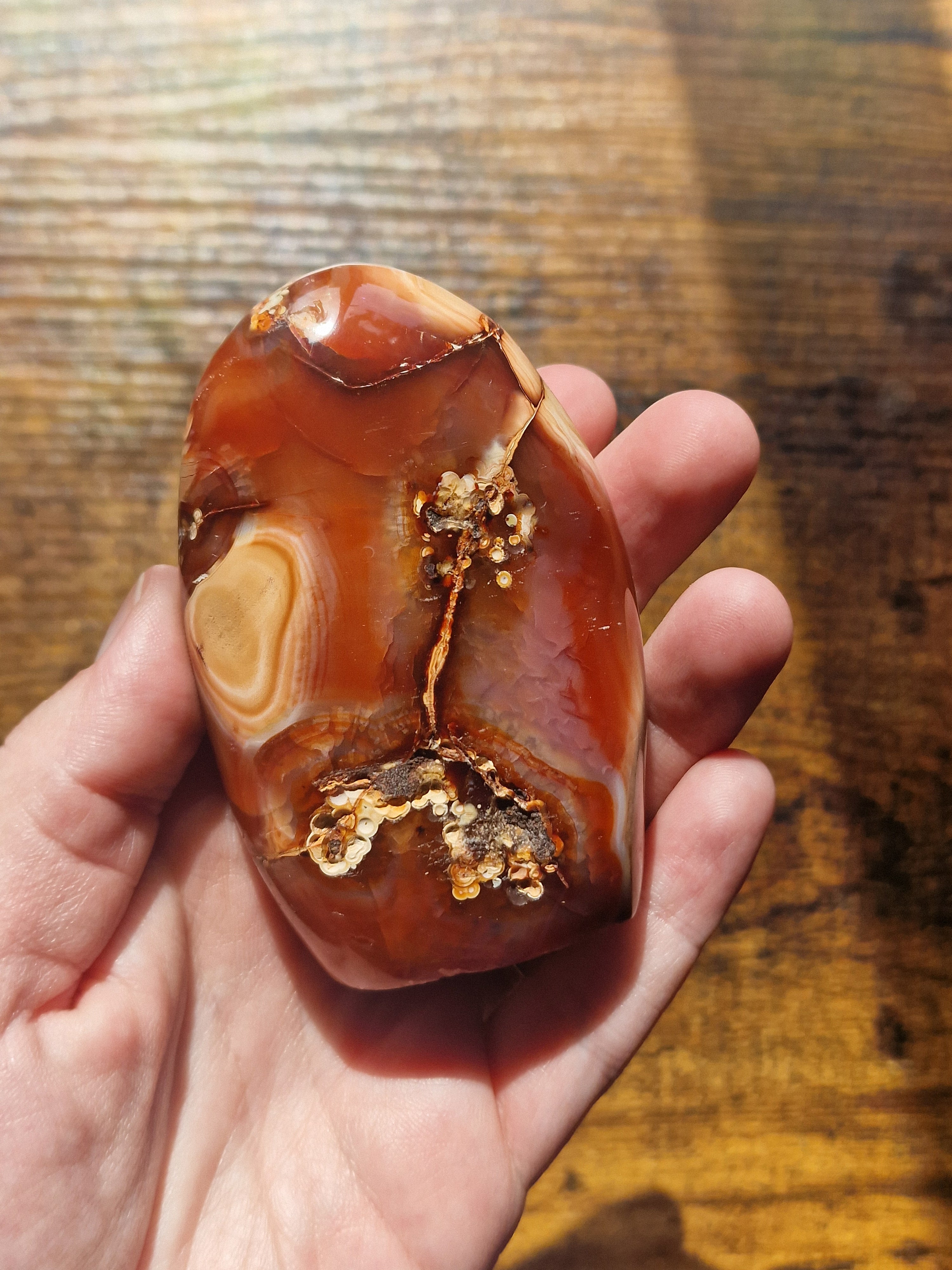 Carnelian Freeform