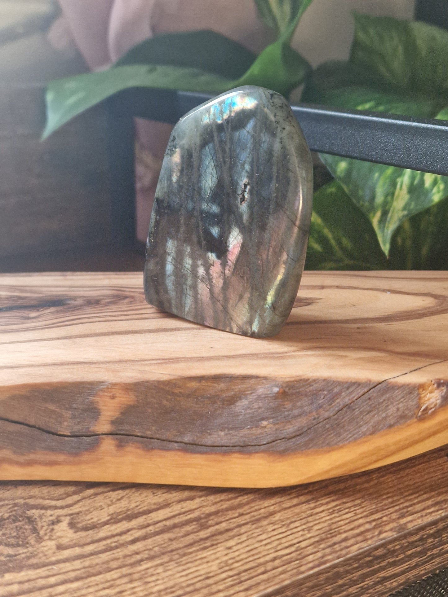 Labradorite freeforms ~ choose your own