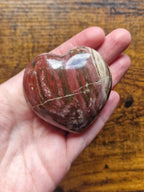 Fossilised Wood Heart