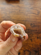 Druzy Agate Geode