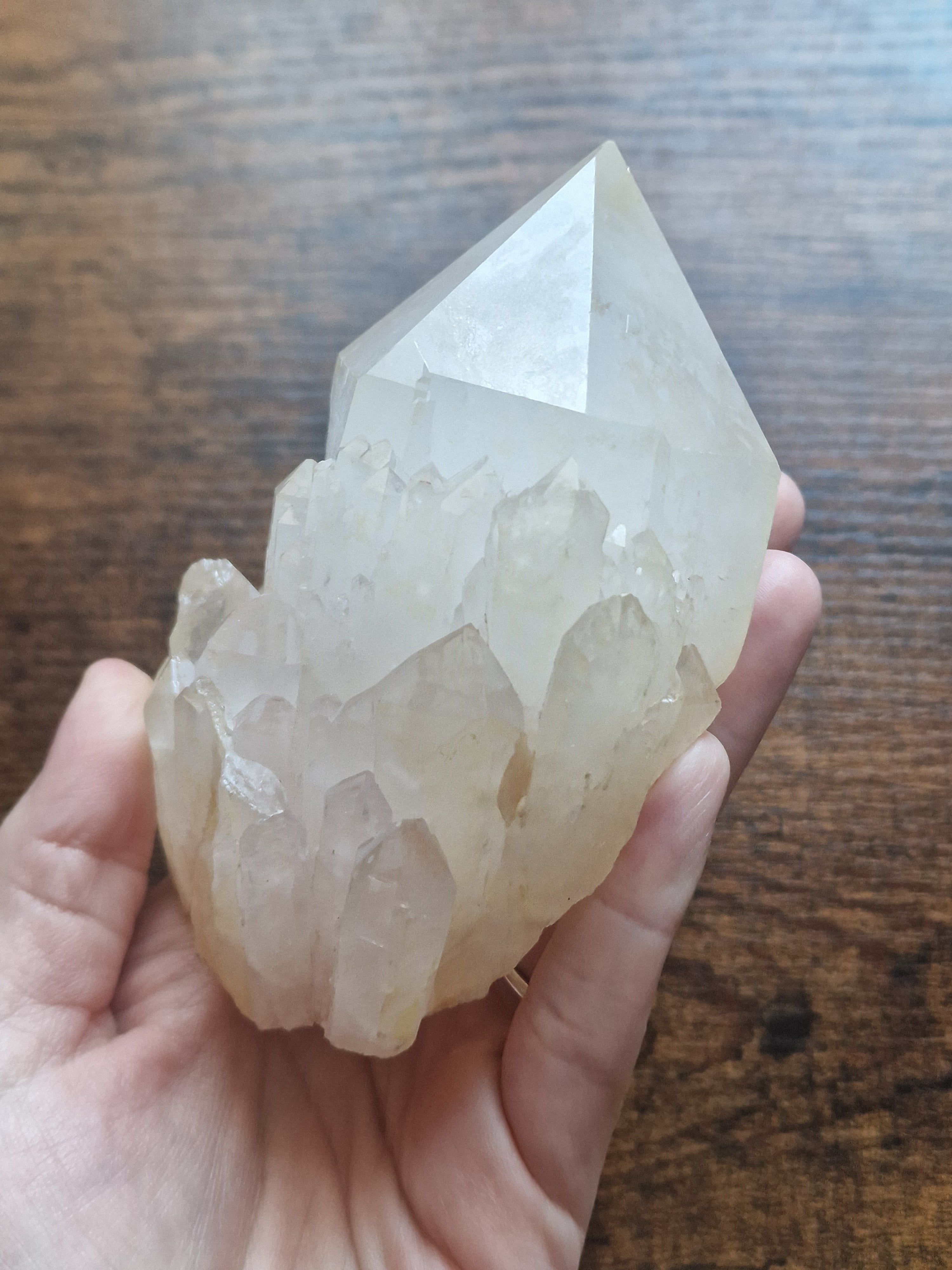 Madagascan Quartz Point Cluster