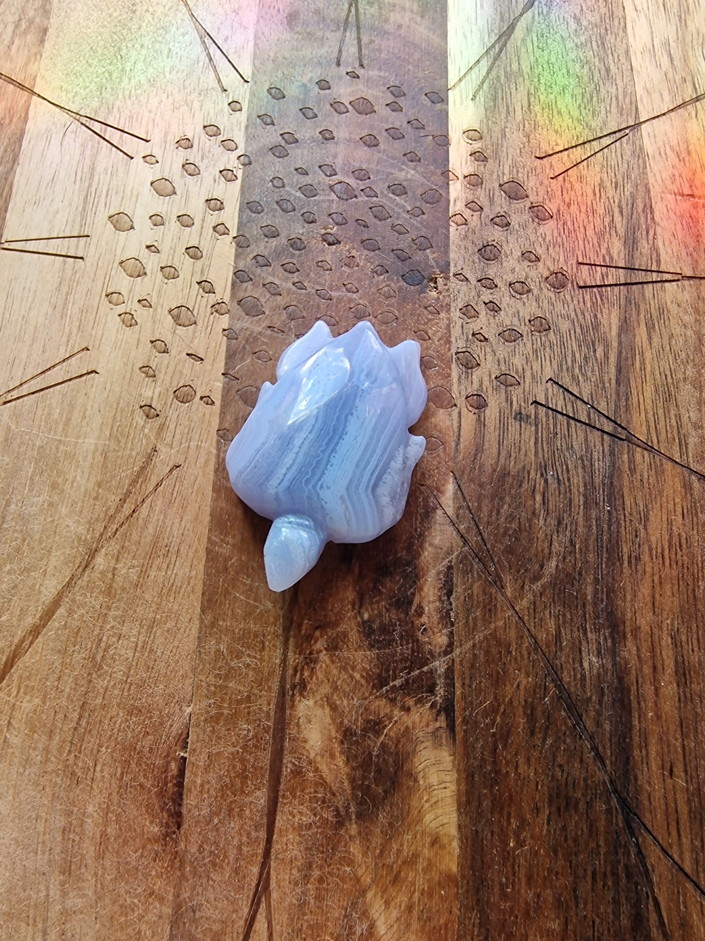 Blue Lace Agate Turtle Carving🐢