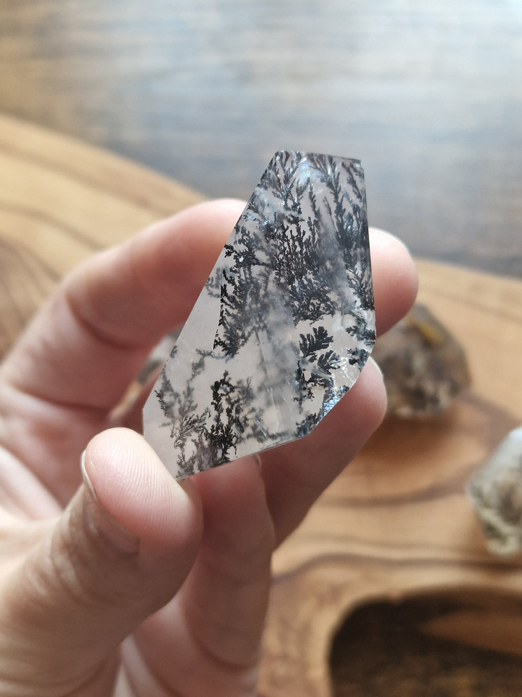 Brazilian Dendritic Quartz Freeform with Iron Inclusions