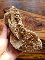Desert Rose Cluster