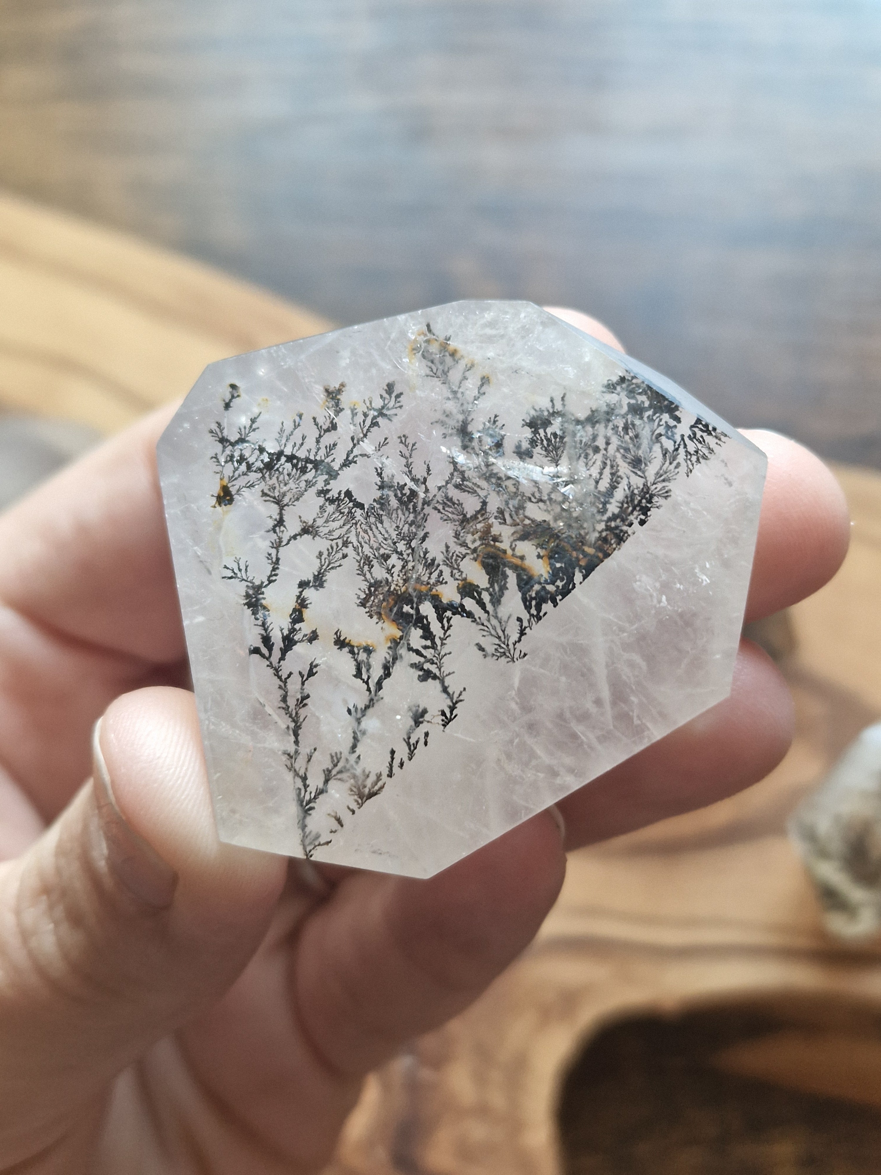 Brazilian Dendritic Quartz Freeform with Iron Inclusions