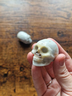 Crystal Skull Carvings