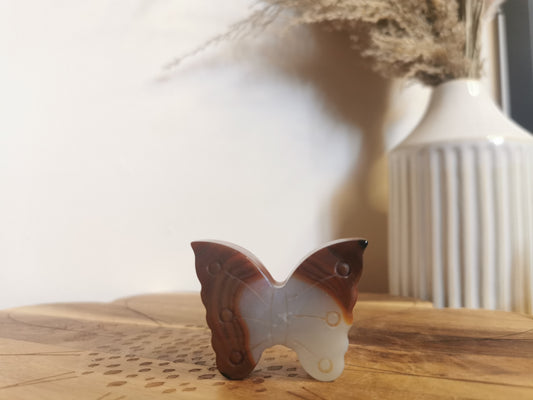 Carnelian butterfly D