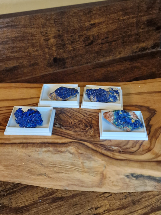 Azurite Crystal in Display Case