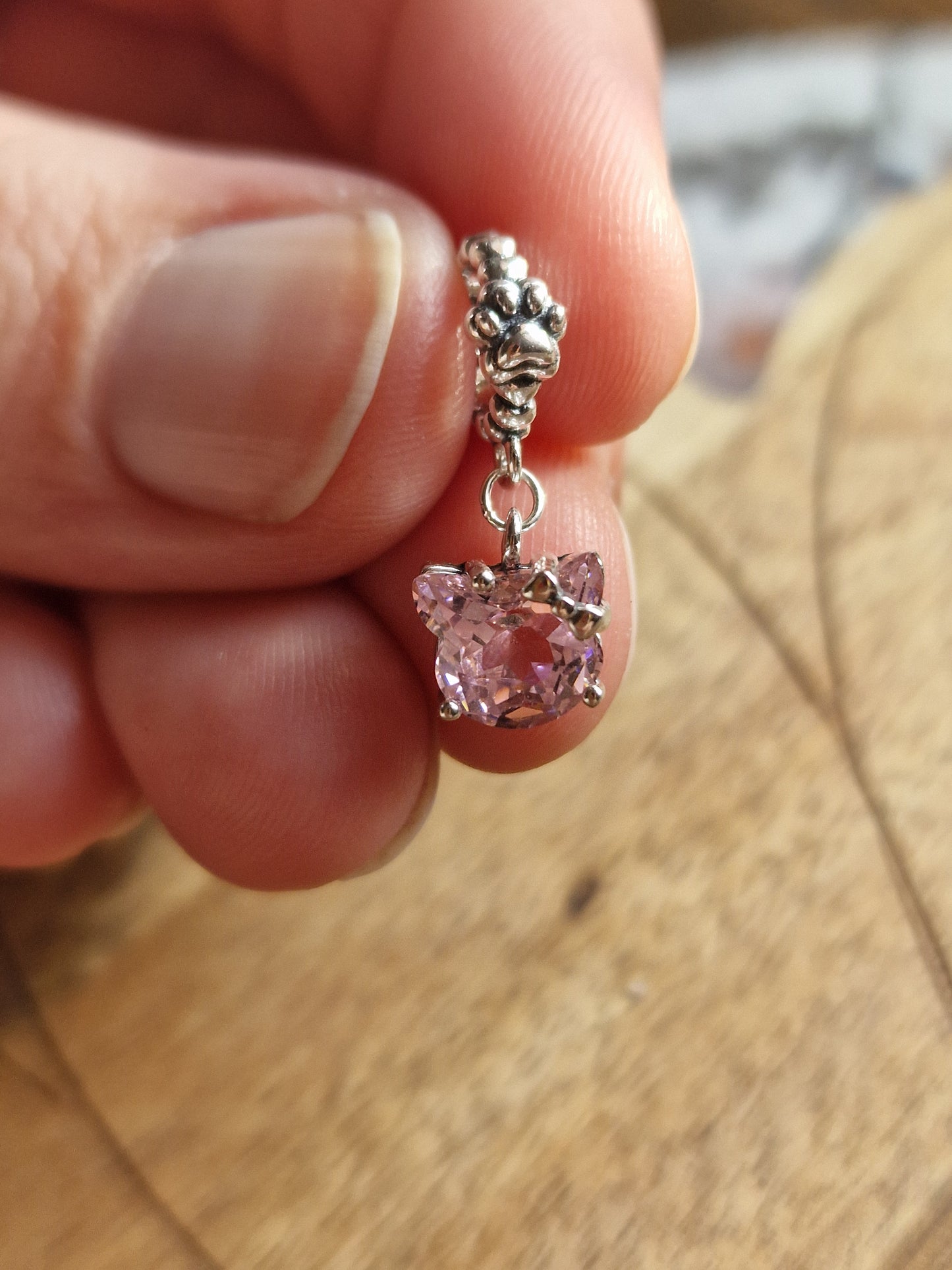 Sterling Silver Charm Collection