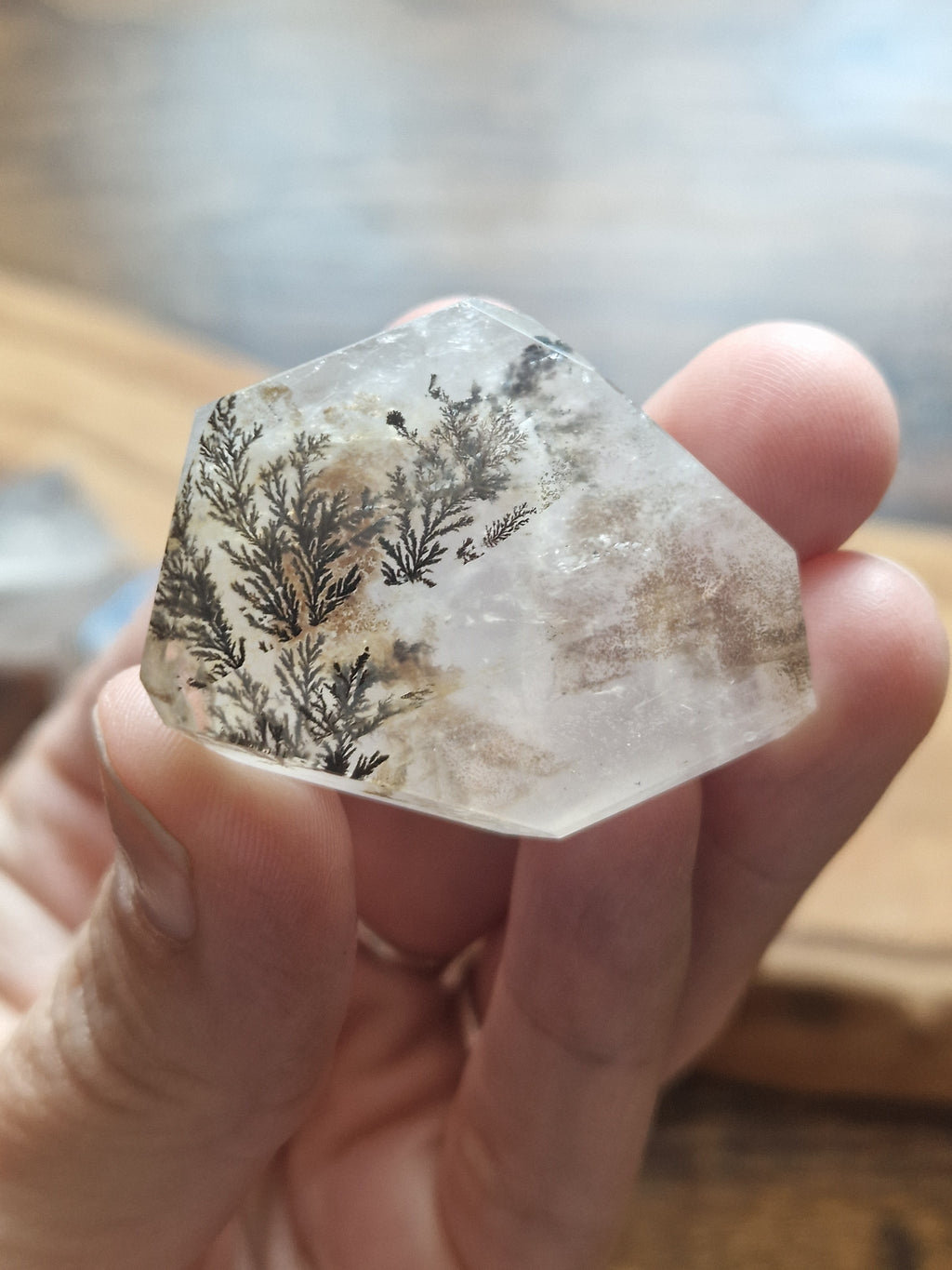 Brazilian Dendritic Quartz Freeform with Iron Inclusions