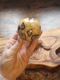 Septerian Sphere
