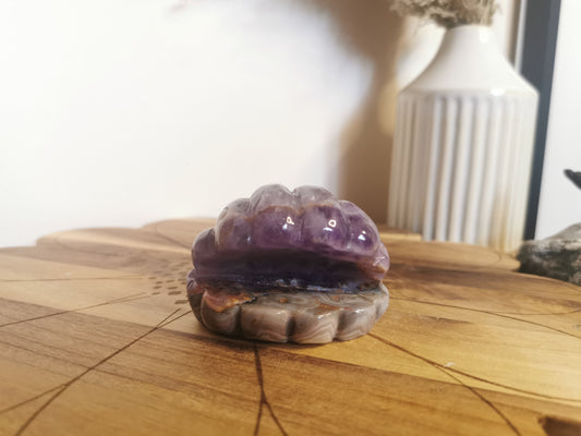 Amethyst & Crazy Lace Agate Shell🐚