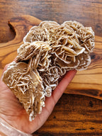 Desert Rose Cluster
