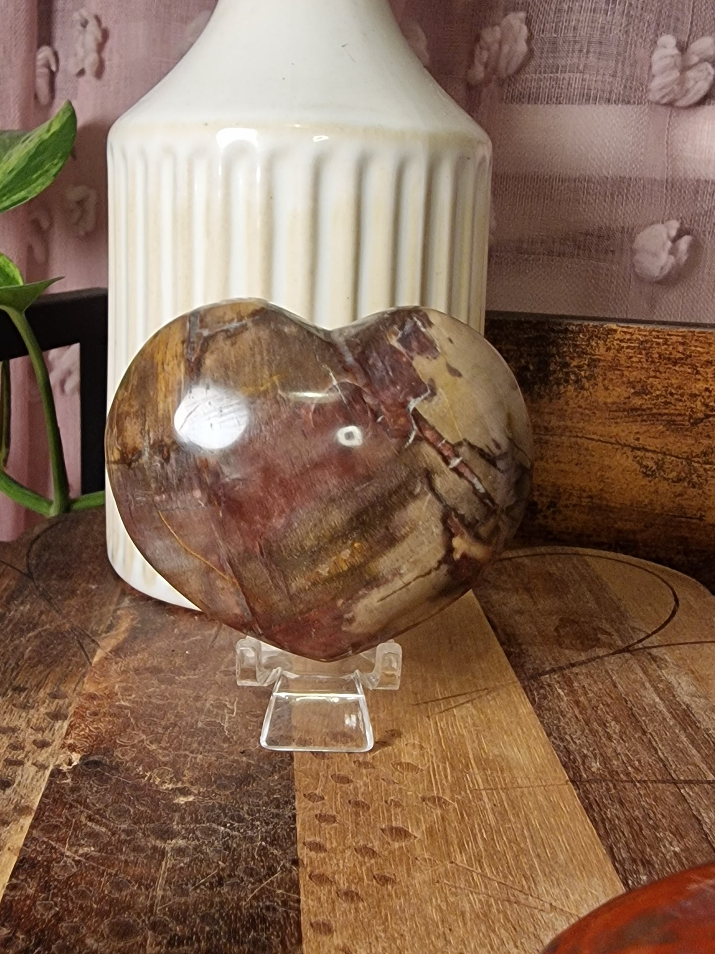 Petrified Wood Hearts
