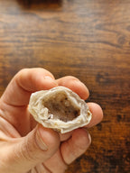 Druzy Agate Geode