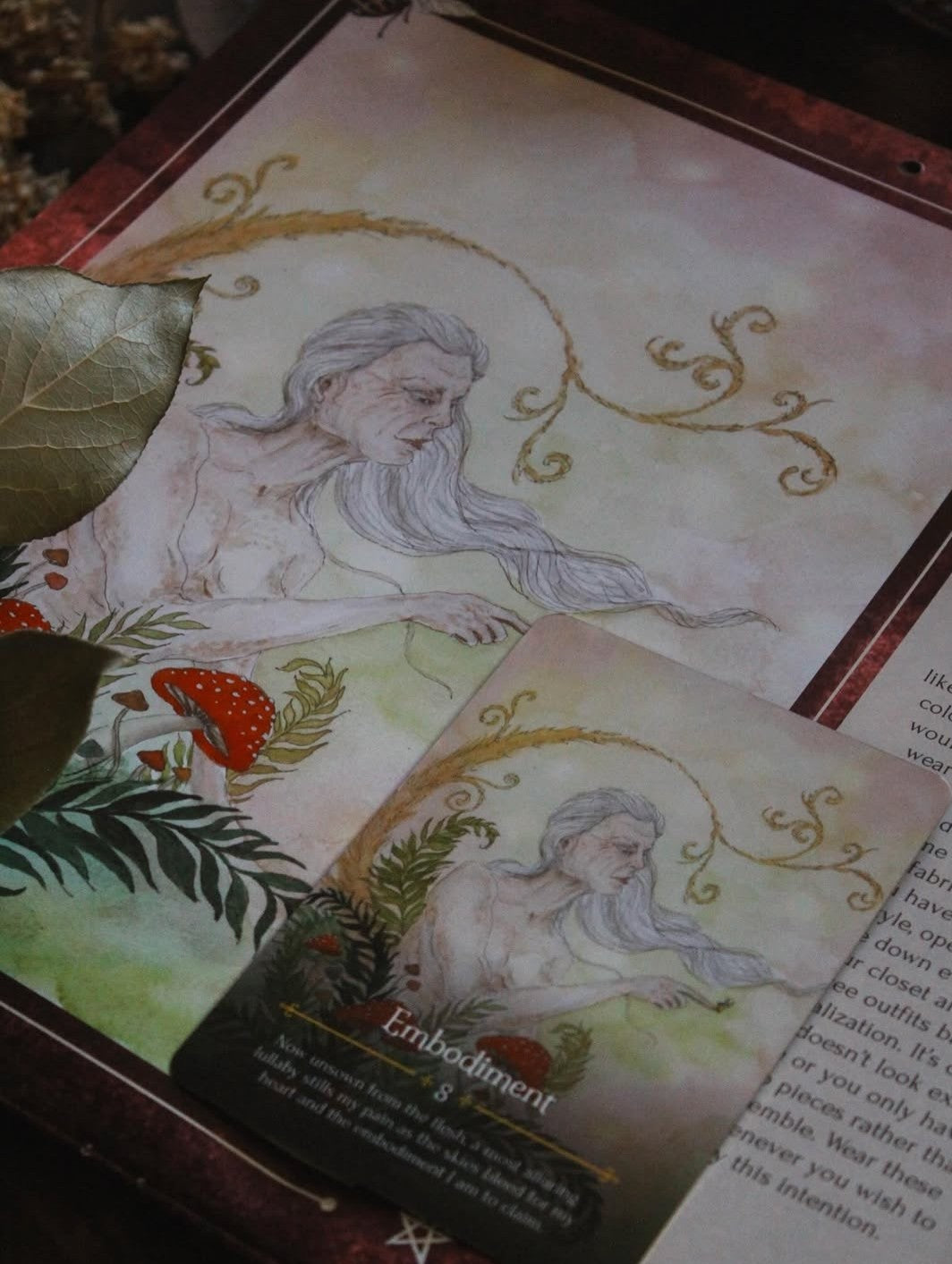 2027 Seasons of the Witch Wall Calendar
