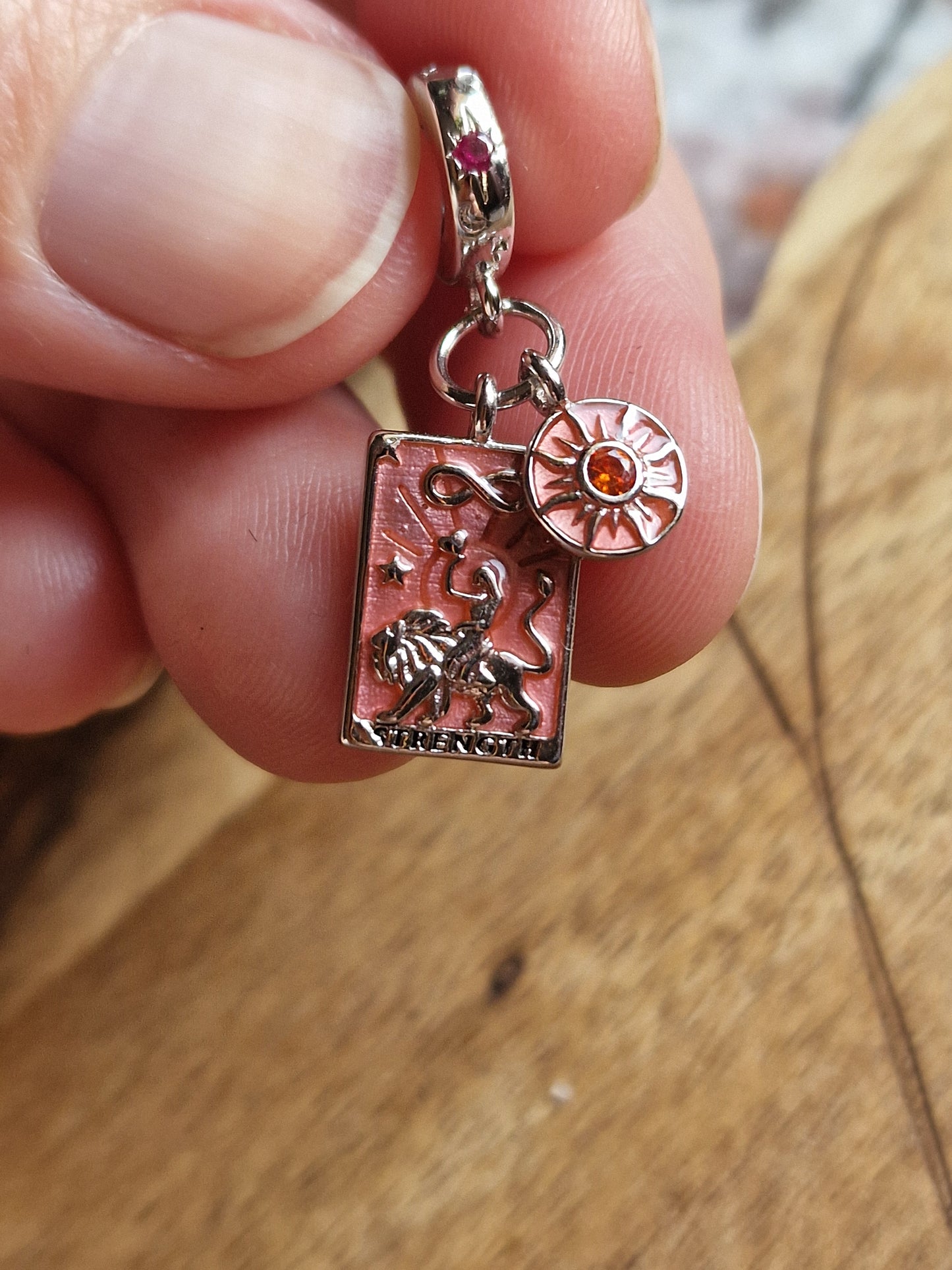 Sterling Silver Charm Collection
