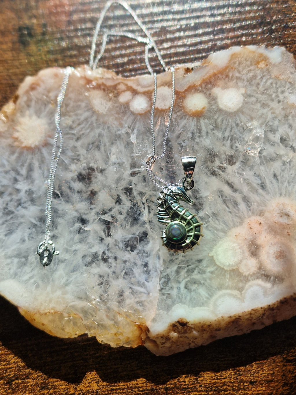 925 Silver Abalone Seahorse Pendant