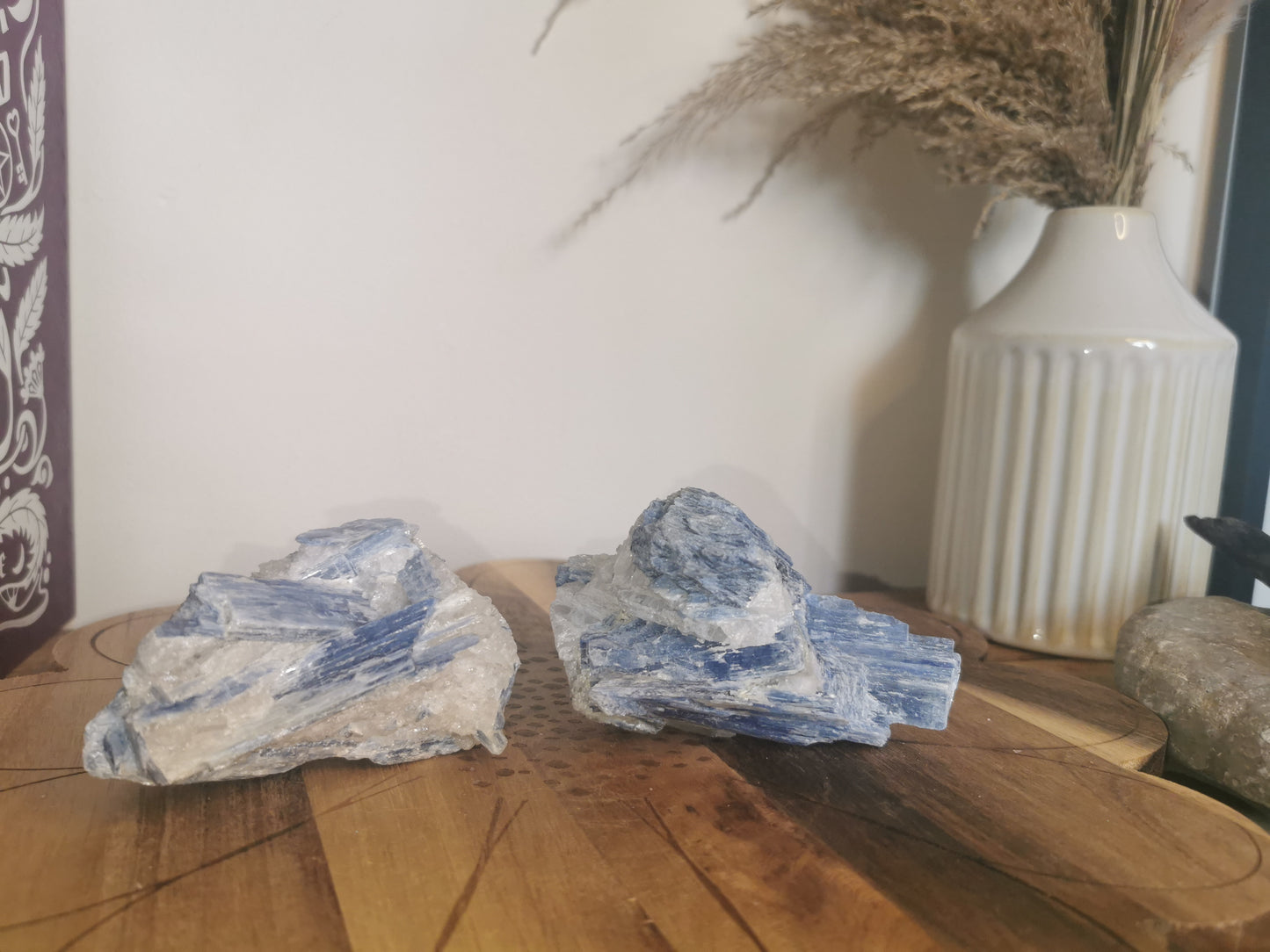 Raw Blue Kyanite with Quartz✨️