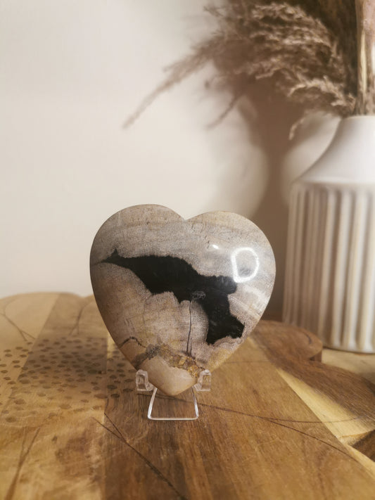 Petrified Wood Heart
