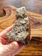 Imperial Lace Baryte ~ Aouli, Morocco