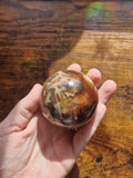 Petrified Wood Sphere