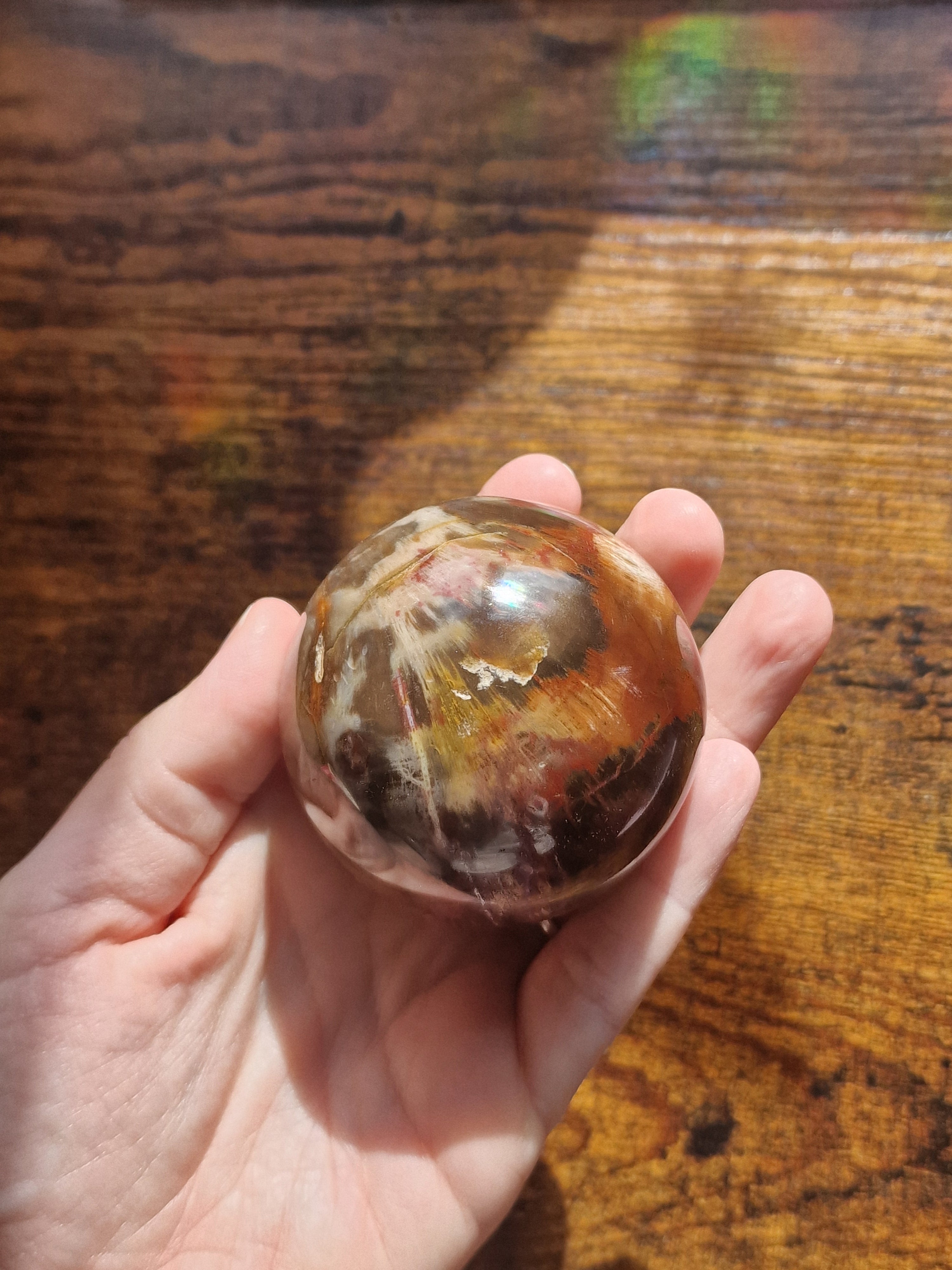 Petrified Wood Sphere