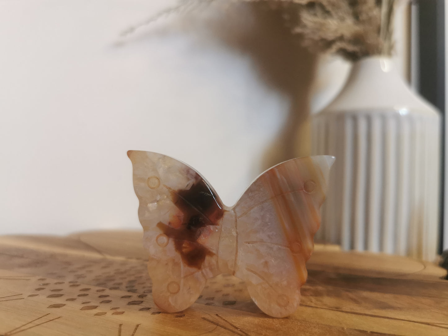 Carnelian butterfly B
