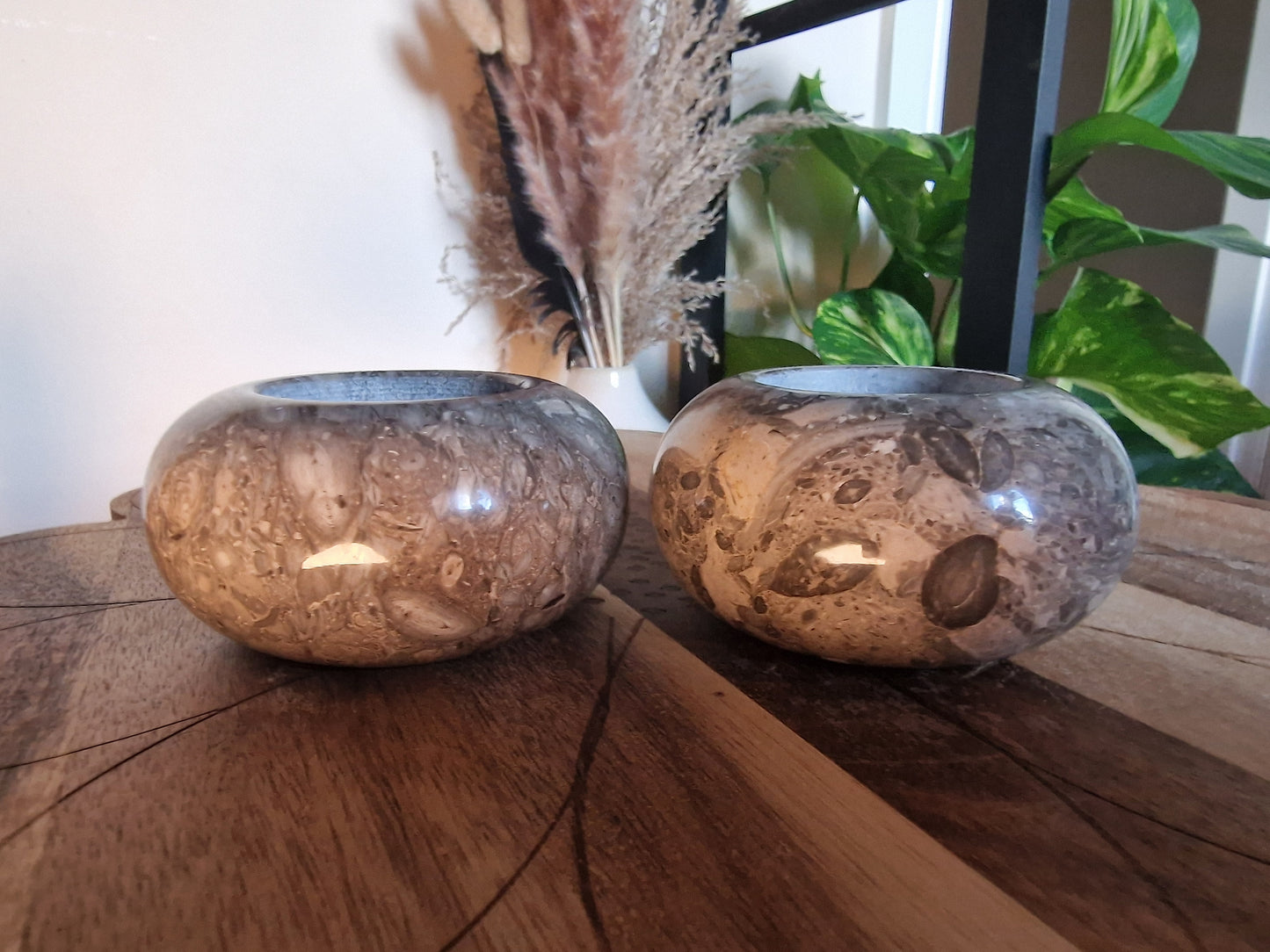 Fossil Stone Candle Holder🐚
