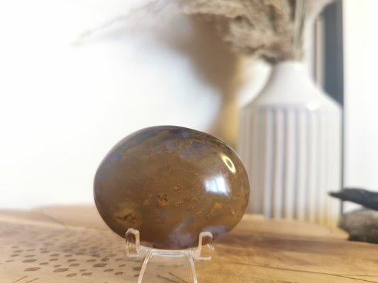 Ocean Jasper Palm Stone✨️